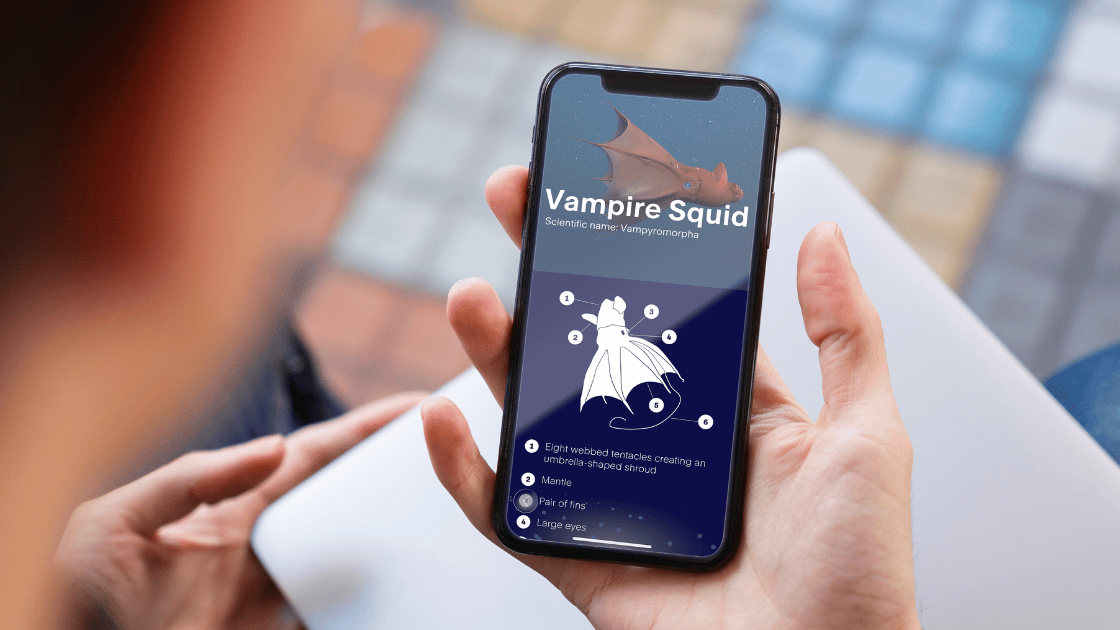 Person holding a smartphone displaying the FathomVerse app with information on a Vampire Squid, showcasing interactive learning and species identification features.